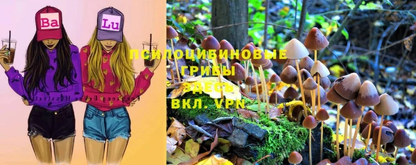 крисы Вязники